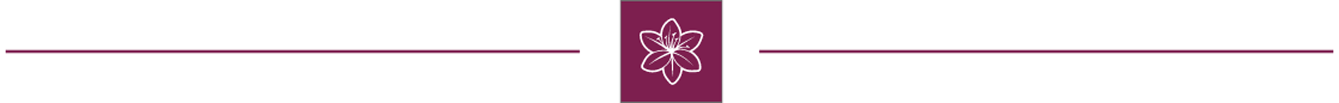Purple section separator with Lily Hospice flower icon in the center