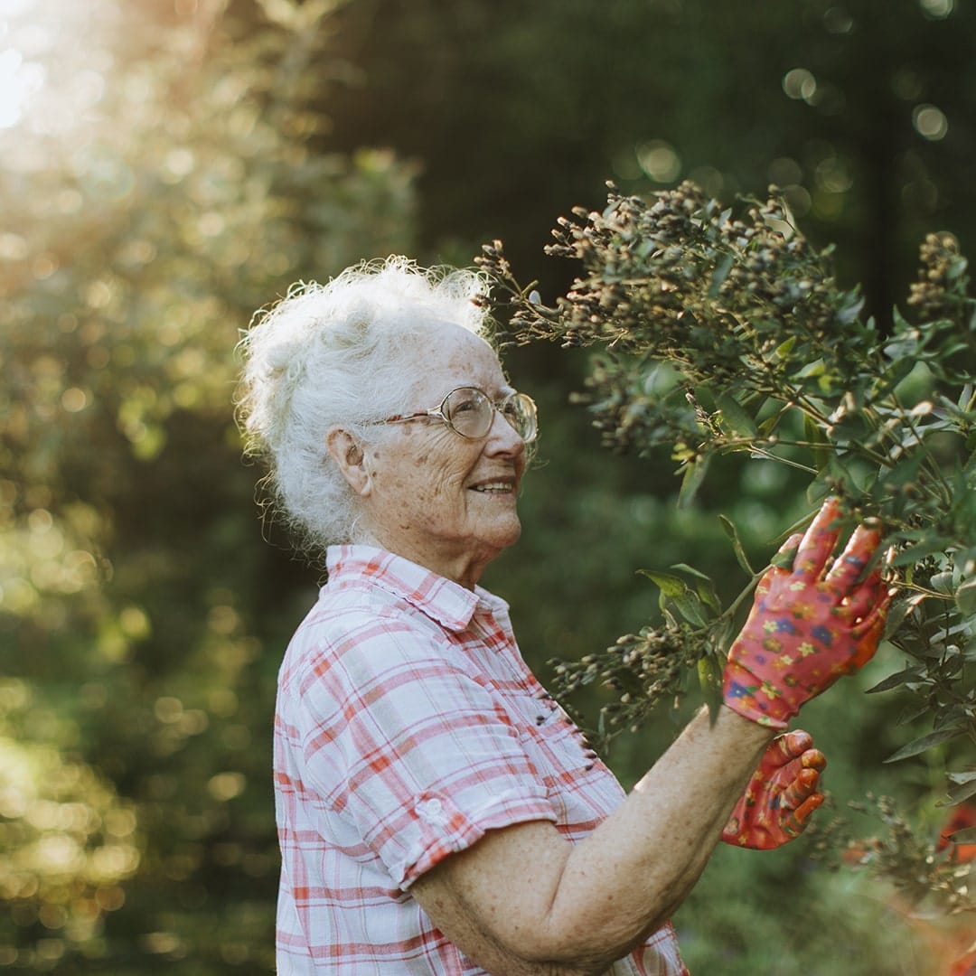 Senior woman gardening and smiling