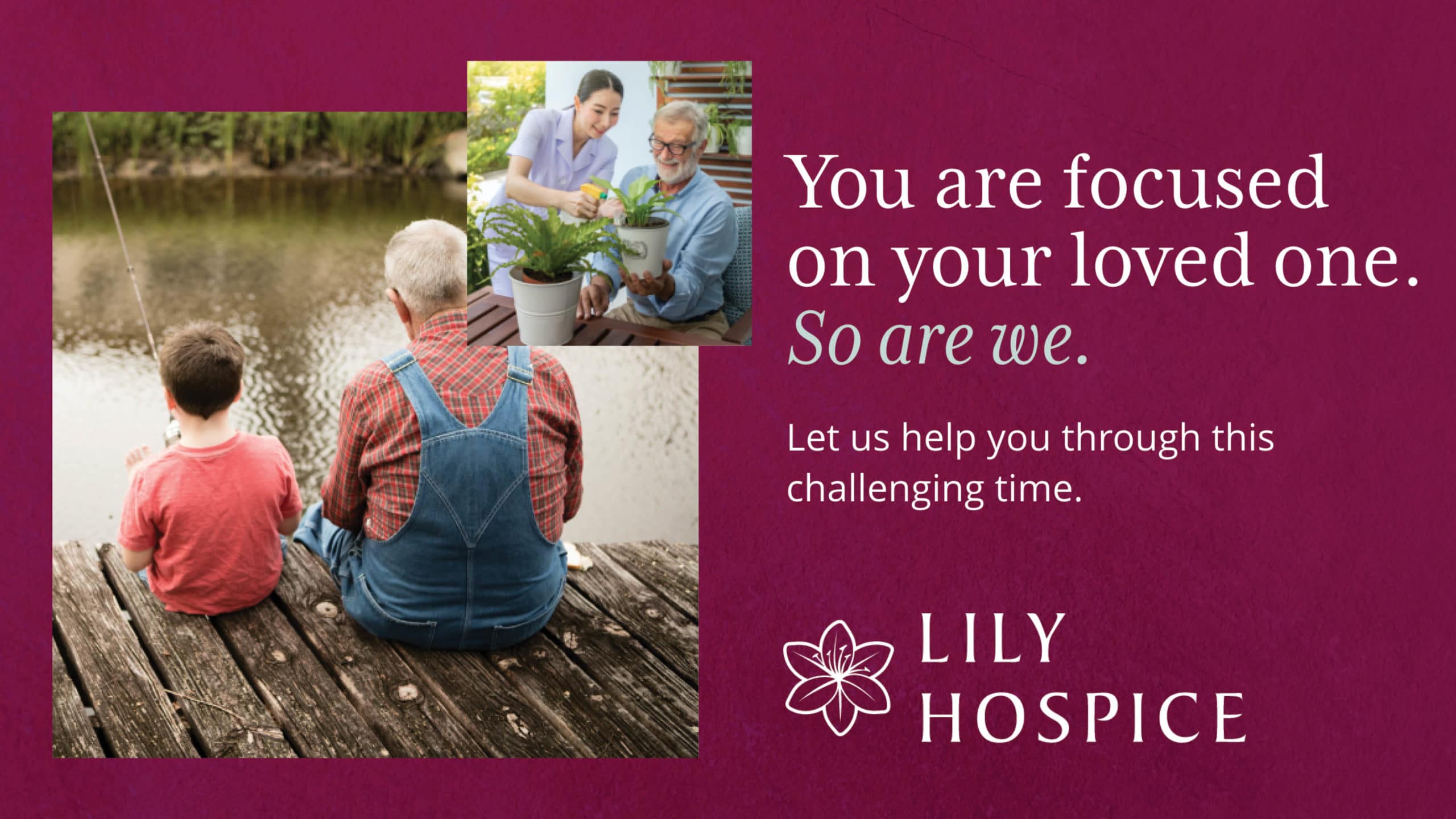 Lily Hospice Love Until the Last Breath Hospice Care Services